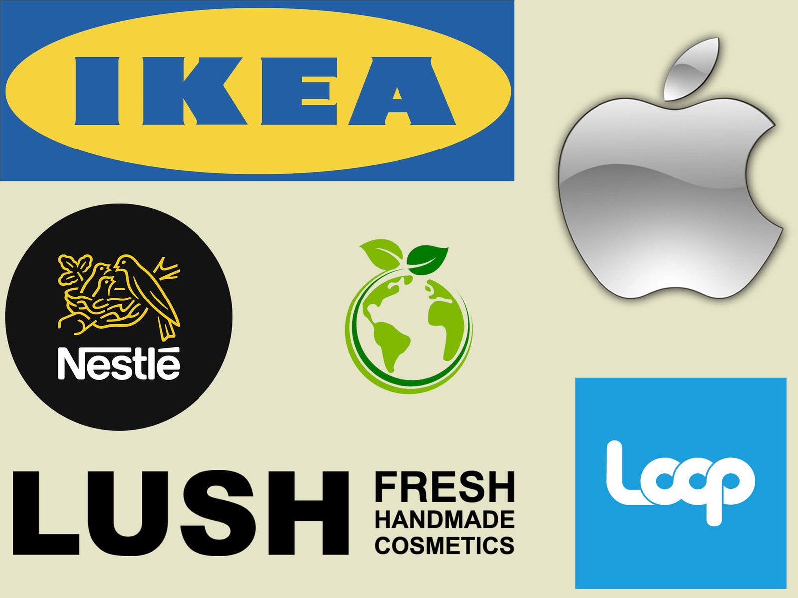 Brands Using Sustainable Packaging