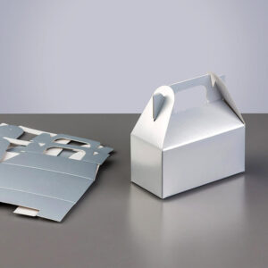 custom gable bag auto bottom boxes