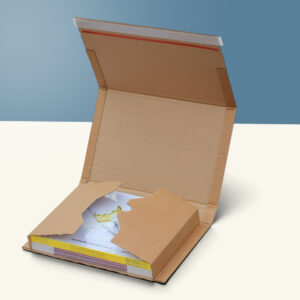 Custom Book Mailers
